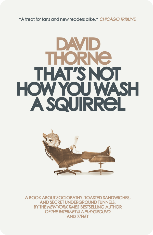 That's Not How You Wash a Squirrel by David Thorne